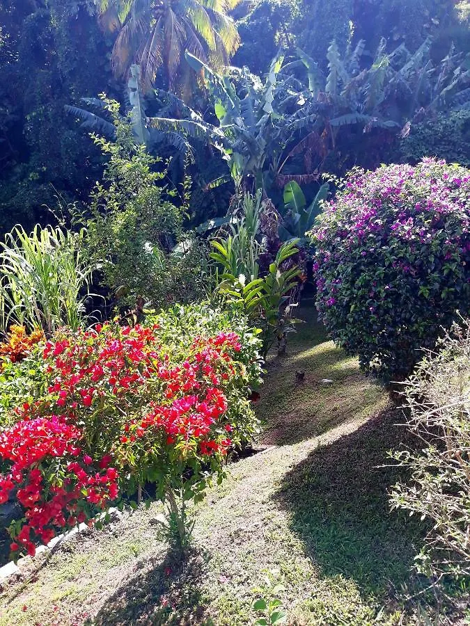Studio Charmant Avec Vue Sur La Mer A Fort De France 30 M² 0*, Fort-de-France Martinique